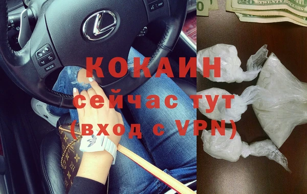 мдпв Богданович