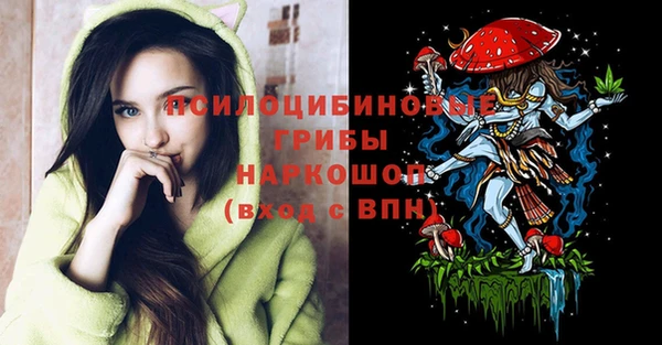 гашик Сосновоборск