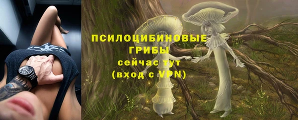 а пвп мука Богородск