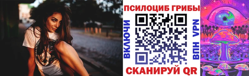магазин блэк спрут как войти Галлюциногенные грибы мицелий Будённовск